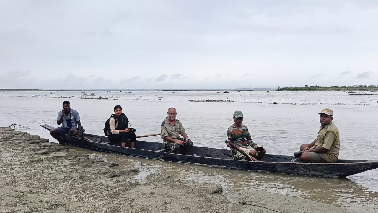 During survey of Assam roofed turtle in KNP
